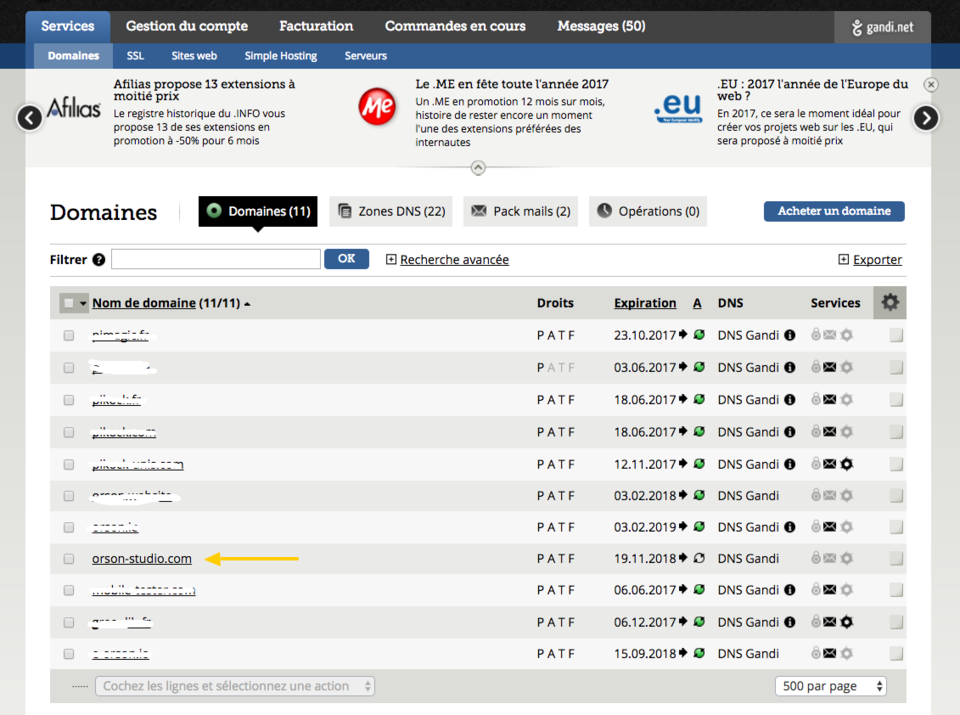 selection-npm-de-domainepng